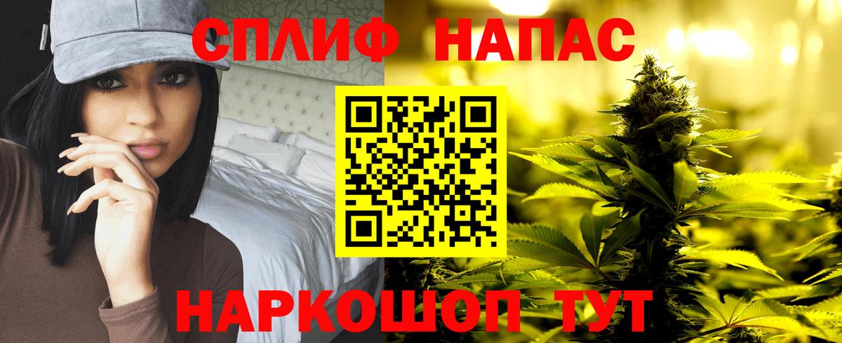 Канабис планчик Буйнакск